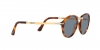 PO3274S Sunglasses