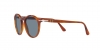 PO3285S Sunglasses
