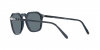 PO3288S Sunglasses