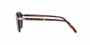 PO3292S Sunglasses