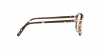 PO3292V Eyeglasses