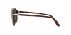 PO3302S Sunglasses