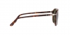 PO3302S Sunglasses