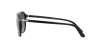 PO3302S Sunglasses