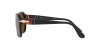 PO3310S Jean Sunglasses