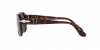 PO3310S Jean Sunglasses