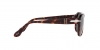 PO3310S Jean Sunglasses