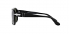 PO3310S Jean Sunglasses