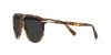 PO3310S Jean Sunglasses