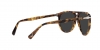 PO3310S Jean Sunglasses