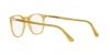 PO3318V Eyeglasses