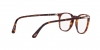 PO3318V Eyeglasses