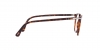 PO3318V Eyeglasses