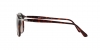 PO9649S Sunglasses