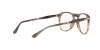 PO9714VM Eyeglasses