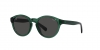 PP9001 Sunglasses