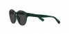 PP9001 Sunglasses