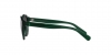 PP9001 Sunglasses
