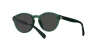 PP9001 Sunglasses