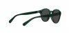 PP9001 Sunglasses