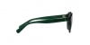 PP9001 Sunglasses