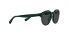 PP9001 Sunglasses