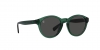 PP9001 Sunglasses