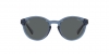 PP9001 Sunglasses