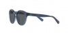 PP9001 Sunglasses