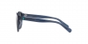 PP9001 Sunglasses