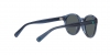 PP9001 Sunglasses