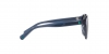 PP9001 Sunglasses