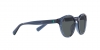 PP9001 Sunglasses