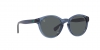 PP9001 Sunglasses