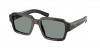 PR 02ZSF Sunglasses