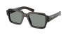 PR 02ZS Sunglasses