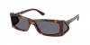 PR B03S Sunglasses
