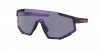 PS 04WS Sunglasses