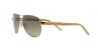 PP9506U Sunglasses