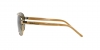 PP9506U Sunglasses