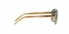 PP9506U Sunglasses