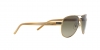 PP9506U Sunglasses