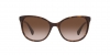 0RA5282U 500313 SUN