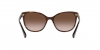 0RA5282U 500313 SUN