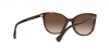 0RA5282U 500313 SUN