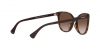 0RA5282U 500313 SUN
