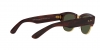 RB0316S Mega Clubmaster Sunglasses
