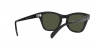RB0707S Sunglasses