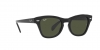 RB0707S Sunglasses