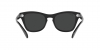 RB0707S Sunglasses